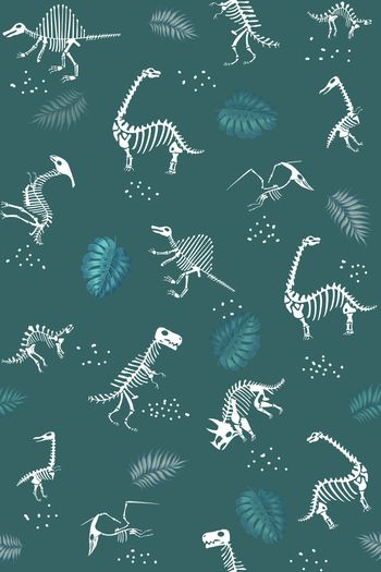 1264033-骷髅骨头