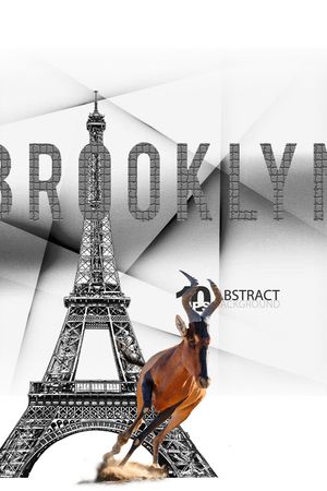 大牌风印花华亿平台图片