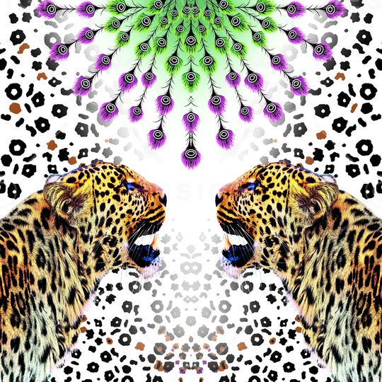 树林印花华亿平台图片