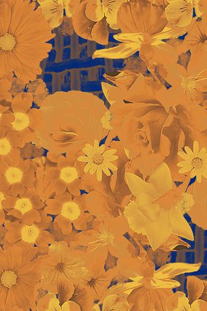 炫彩印花华亿平台图片