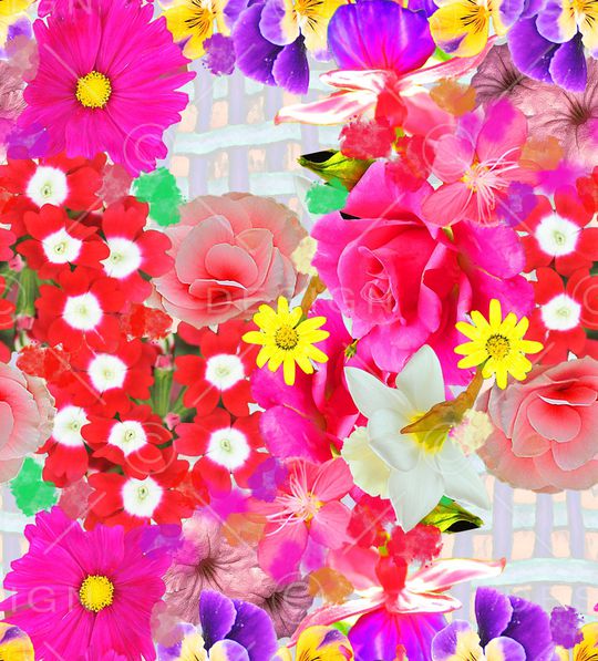 炫彩印花华亿平台图片