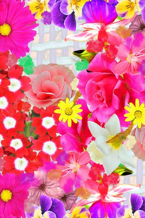 炫彩印花华亿平台图片