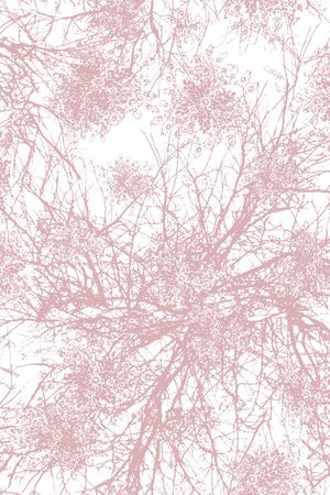 清爽底花卉印花华亿平台图片