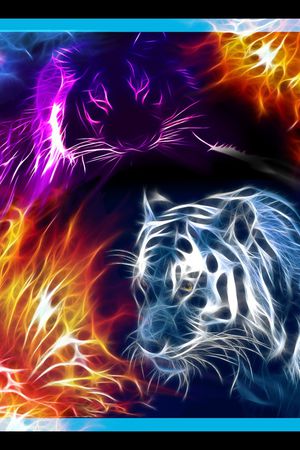 Baroque印花华亿平台图片