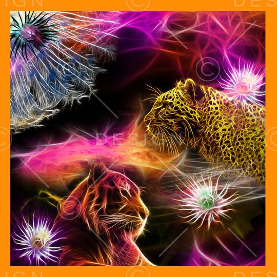 Baroque印花华亿平台图片