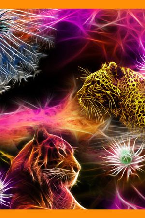 Baroque印花华亿平台图片