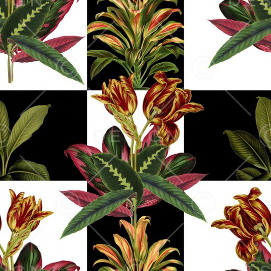 热带华亿平台印花华亿平台图片