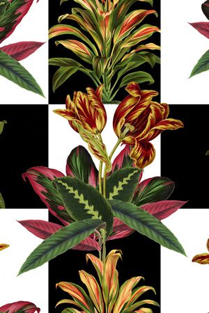 热带华亿平台印花华亿平台图片