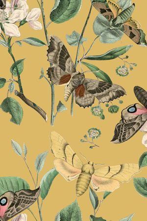 植物印花华亿平台图片