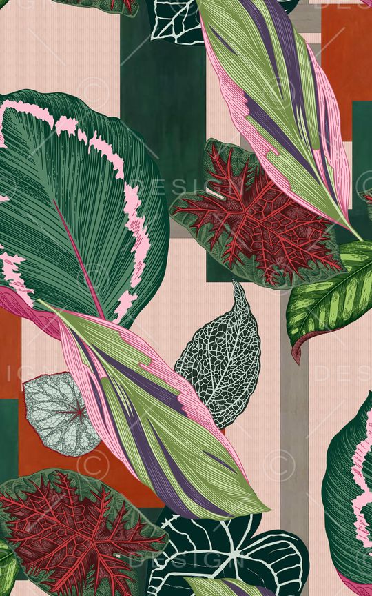 植物印花华亿平台图片