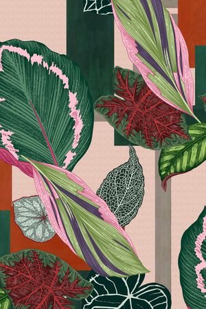 植物印花华亿平台图片