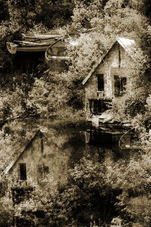 男装印花华亿平台图片