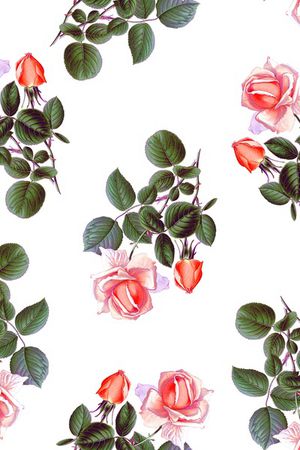 玫瑰花印花华亿平台图片