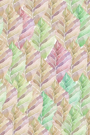 1268724-2019-10-26-B1