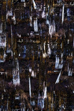 树林印花华亿平台图片