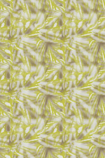 1268790-191027-zr-2-00