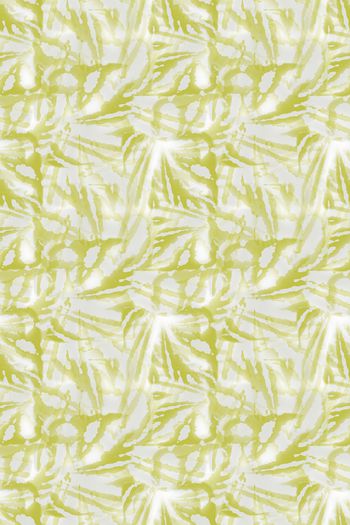 1268791-191027-zr-2-2