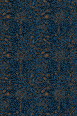 动物纹印花华亿平台图片