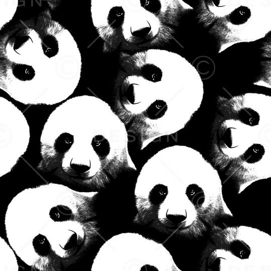 动物印花华亿平台图片