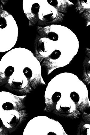 动物印花华亿平台图片