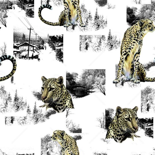 动物印花华亿平台图片