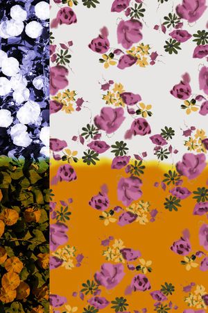 玫瑰花印花华亿平台图片