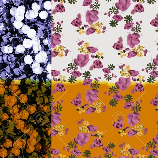 玫瑰花印花华亿平台图片