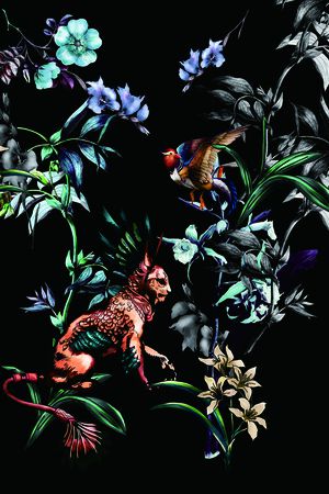 动物印花华亿平台图片