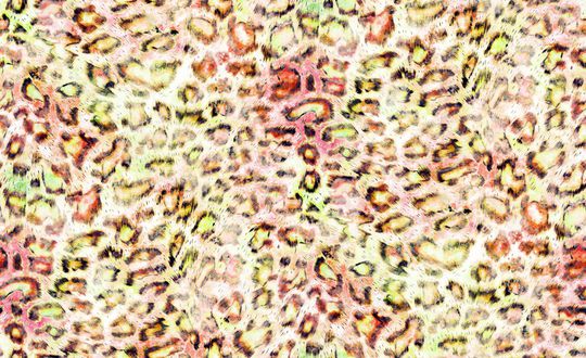 水彩印花华亿平台图片