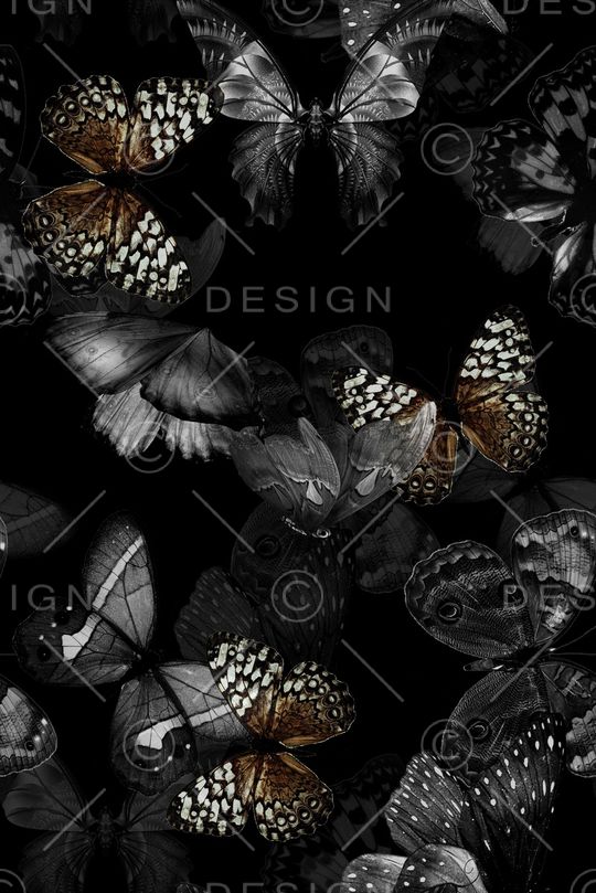 动物印花华亿平台图片