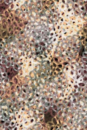 动物印花华亿平台图片