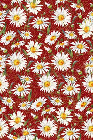 小雏菊印花华亿平台图片