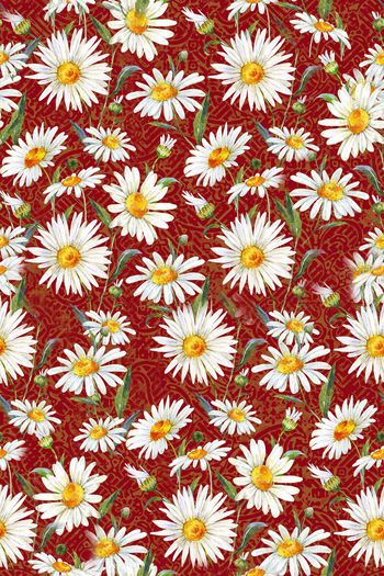 小雏菊印花华亿平台图片