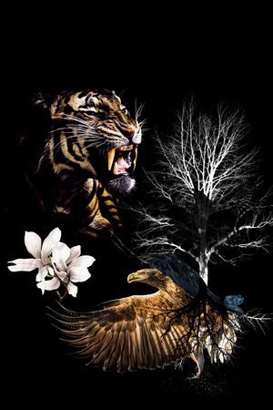 动物印花华亿平台图片