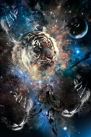 定位花印花华亿平台图片