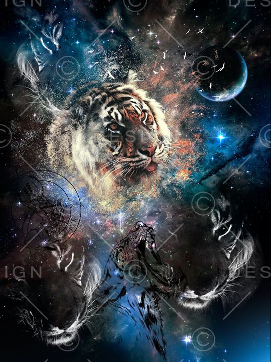 定位花印花华亿平台图片