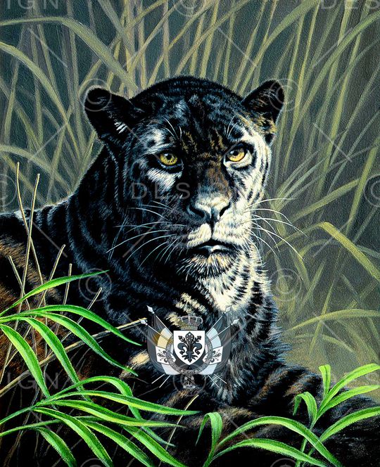 复古印花华亿平台图片