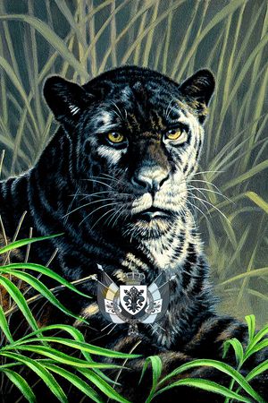 复古印花华亿平台图片