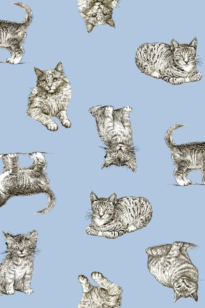 手绘印花华亿平台图片