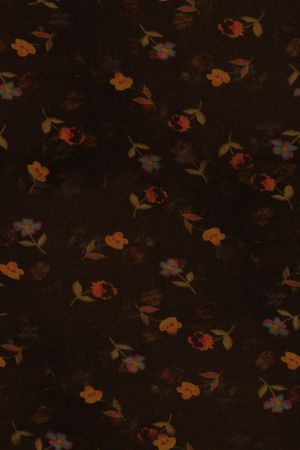 香云纱印花华亿平台图片