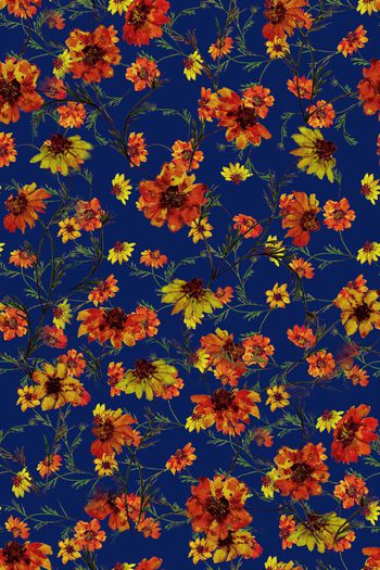 1274624-HY2019011-12