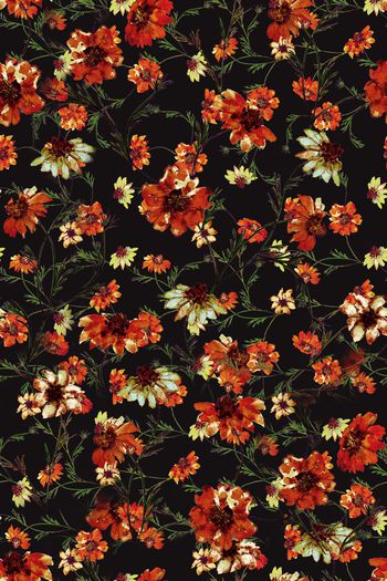 1274638-HY2019011-12b