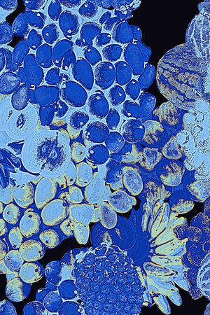 迷彩印花华亿平台图片