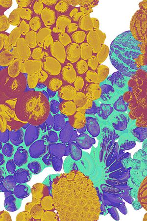 抽象印花华亿平台图片