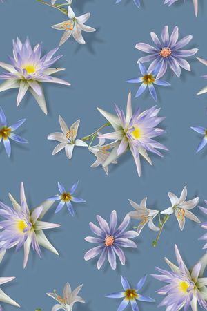 彩底花卉印花华亿平台图片