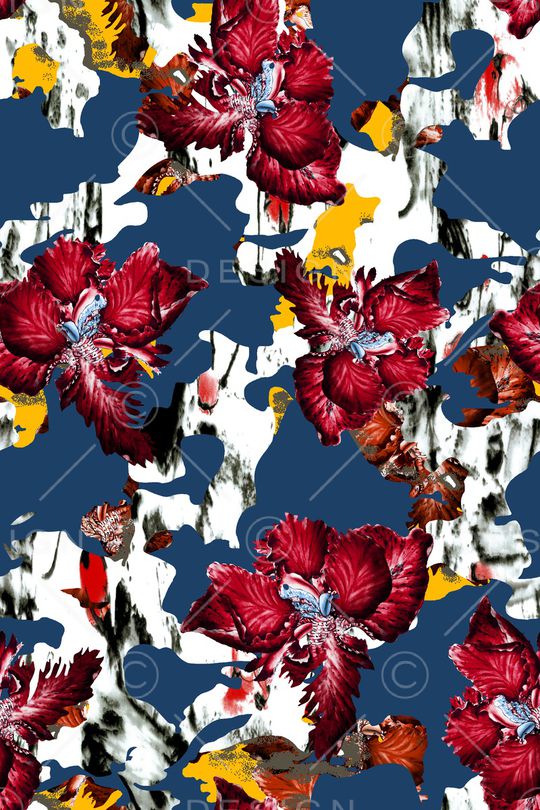 女装印花华亿平台图片