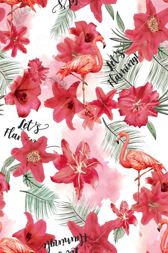 女装印花华亿平台图片