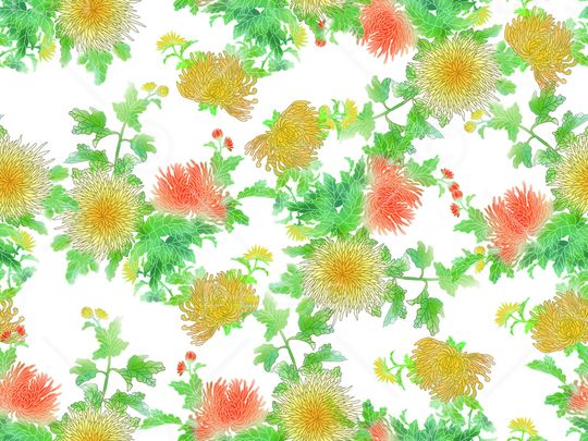 菊花印花华亿平台图片