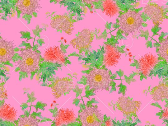 菊花印花华亿平台图片