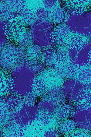 迷彩印花华亿平台图片